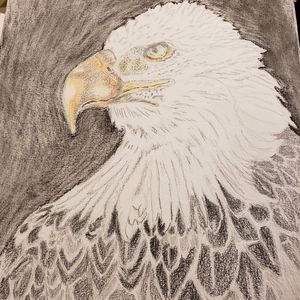 11x15 hand drawn signed dated and sealed